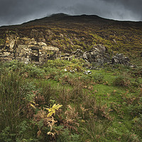 Buy canvas prints of An old derelcit  cottage in Snowdonia.  by Eddie John