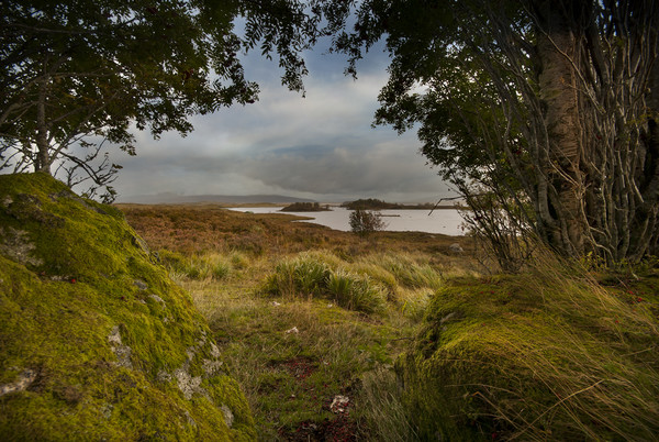 Loch Ba – Rannoch Moor Picture Board by Eddie John
