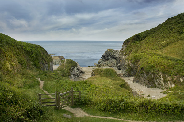 Lansallos south coast of Cornwall Picture Board by Eddie John