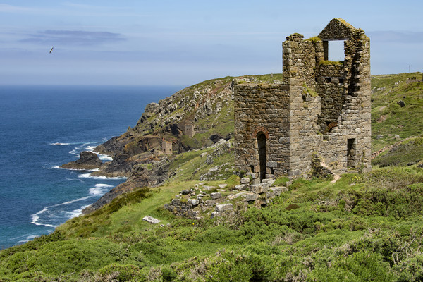 Mine engine houses at Botallack at St Just Cornwal Picture Board by Eddie John