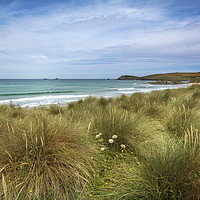 Buy canvas prints of Sand dunes and marram grass Constantine bay  by Eddie John