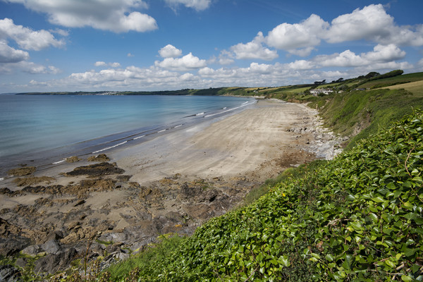 Carne and Pendower beaches -  Roseland -   Cornwal Picture Board by Eddie John