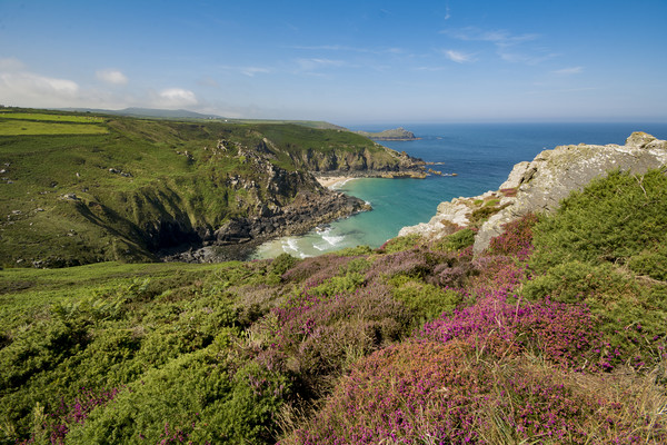 Pendour cove from the headland of Zennor cliffs Co Picture Board by Eddie John