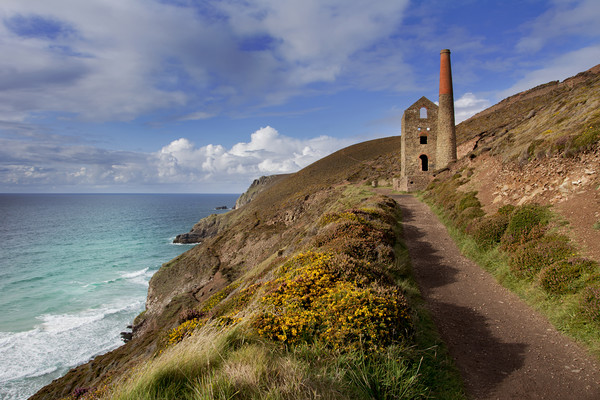 Wheal Coates mining engine house  St Agnes Cornwal Picture Board by Eddie John