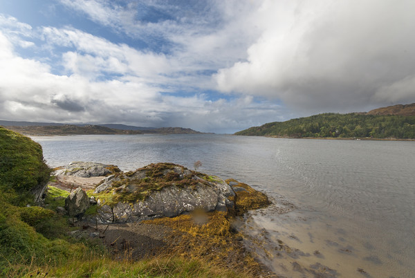 Loch Moidart  Scotland Picture Board by Eddie John