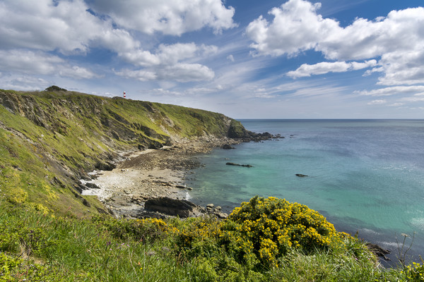 Platt cove - Gribbin head - Cornwall Picture Board by Eddie John