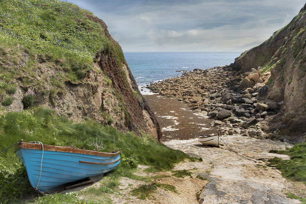Rowing boats at Porthgwarra Picture Board by Eddie John