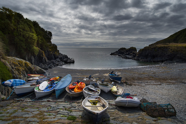 Cadgwith Cove Cornwall Picture Board by Eddie John