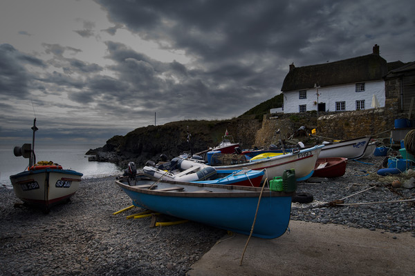 Cadgwith cove at dusk Picture Board by Eddie John