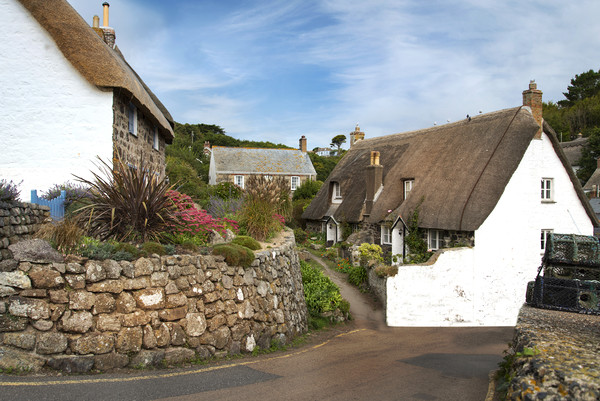 Cottages at Cadgwith cove Cornwall Picture Board by Eddie John