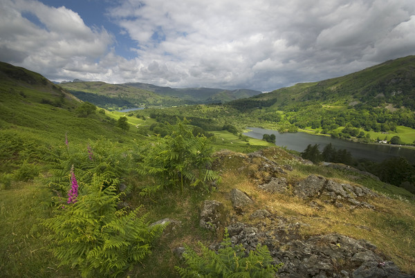 Loughrigg fell and rydal water Picture Board by Eddie John
