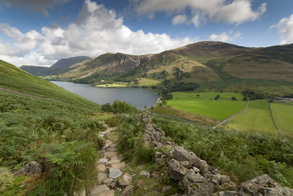Buttermere and Butteremer fell lake district cumbr Picture Board by Eddie John