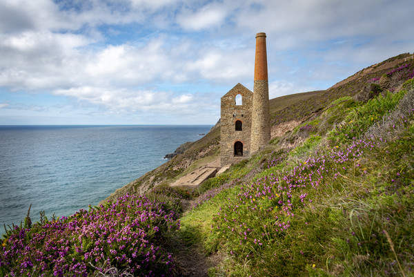 Cornwall tin mines  Picture Board by Eddie John