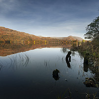 Buy canvas prints of early morning on grasmere cumbria  by Eddie John