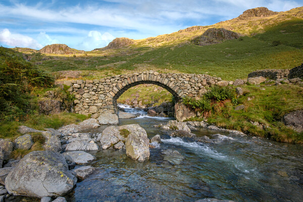lingcove bridge , pack horse bridge, lingcove beck river esk, eskdale, cumbria, lake district, mountains, mountain stream, rocky out crops, valley, no people, greenery, rural, countryside, uk, great britain, england, walking, outdoor , ancient , Picture Board by Eddie John