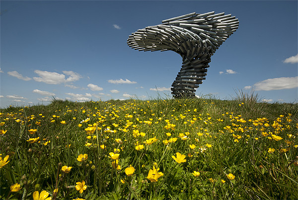 The Singing Ringing Tree Picture Board by Eddie John