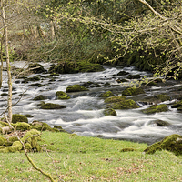Buy canvas prints of River Rothay by John Hare