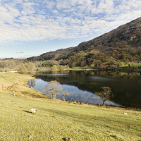 Buy canvas prints of Down To Rydal Water by John Hare