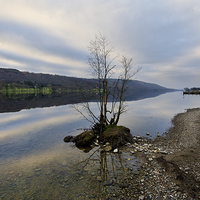 Buy canvas prints of Coniston Morning by John Hare