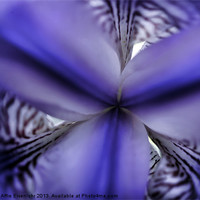 Buy canvas prints of Blue perception by Martine Affre Eisenlohr