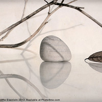 Buy canvas prints of Branches, leaf and pebble by Martine Affre Eisenlohr