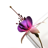 Buy canvas prints of Minimalist Fuchsia flower by Martine Affre Eisenlohr