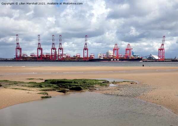 Liverpool 2 Container Terminal Picture Board by Lilian Marshall