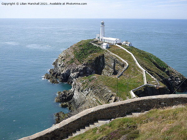 South Stack Lighthouse.   Picture Board by Lilian Marshall