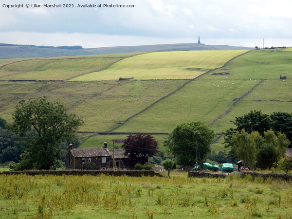 Looking over to Stoodley Pike.  Picture Board by Lilian Marshall
