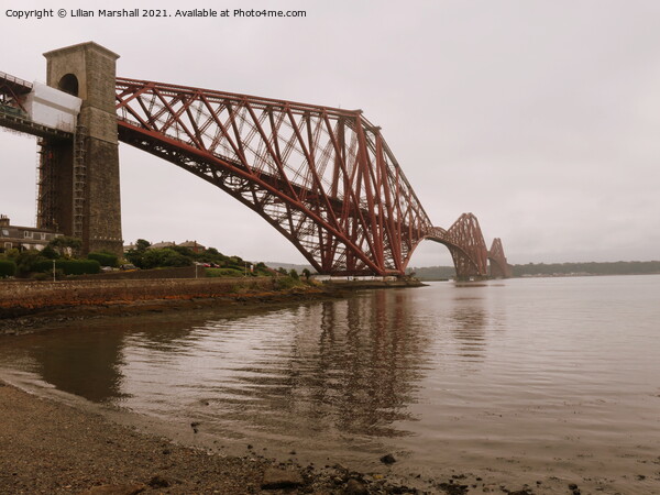  The Forth Bridge Queensferry. Picture Board by Lilian Marshall