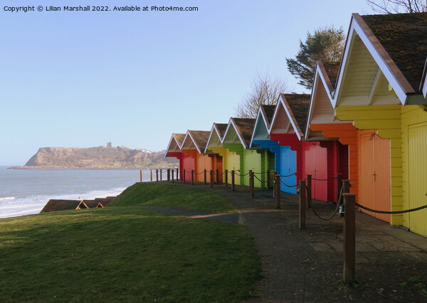 Beach huts at Scarborough , North Yorkshire.  Picture Board by Lilian Marshall