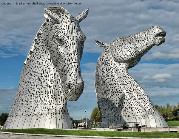 The Kelpies Picture Board by Lilian Marshall