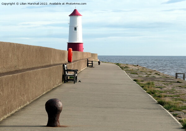 Berwick upon Tweed Lighthouse.  Picture Board by Lilian Marshall