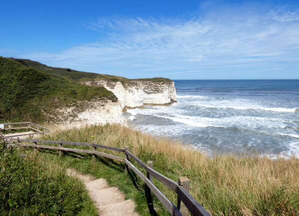 Flamborough Head. Picture Board by Lilian Marshall
