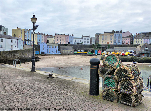 Tenby Harbour. Picture Board by Lilian Marshall