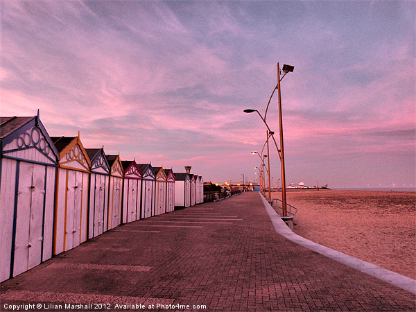 Great Yarmouth Beach Huts. Picture Board by Lilian Marshall