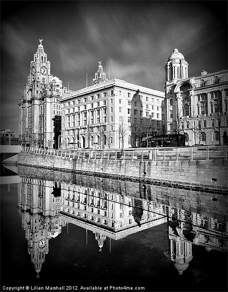 The Liver Building Picture Board by Lilian Marshall