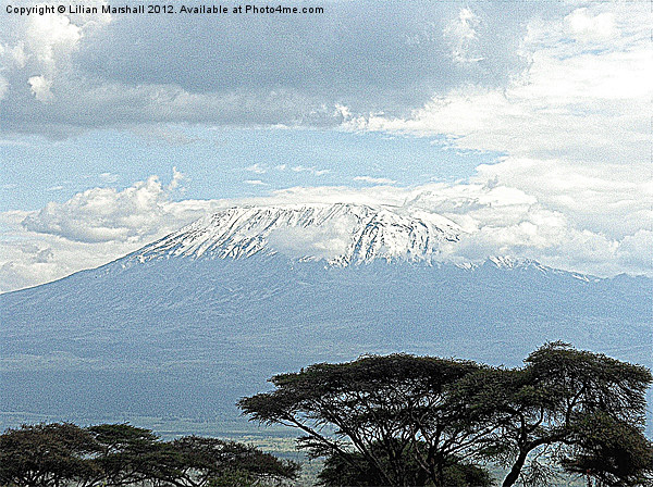 KILIMANJARO. Picture Board by Lilian Marshall