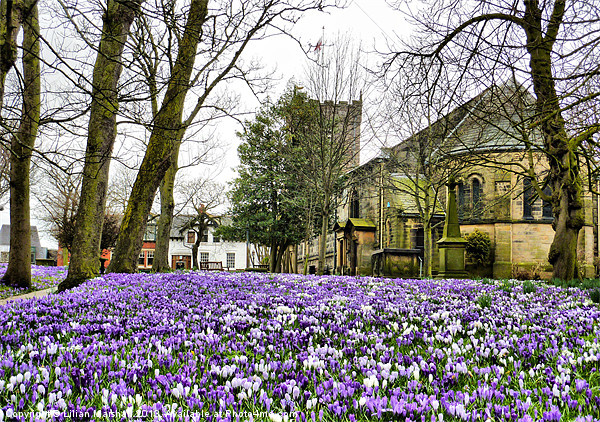 Spring time at St Chads. Picture Board by Lilian Marshall
