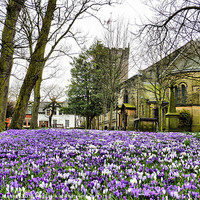 Buy canvas prints of Spring time at St Chads. by Lilian Marshall