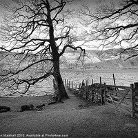 Buy canvas prints of Derwentwater by Lilian Marshall