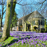 Buy canvas prints of Springtime at St Chads. by Lilian Marshall