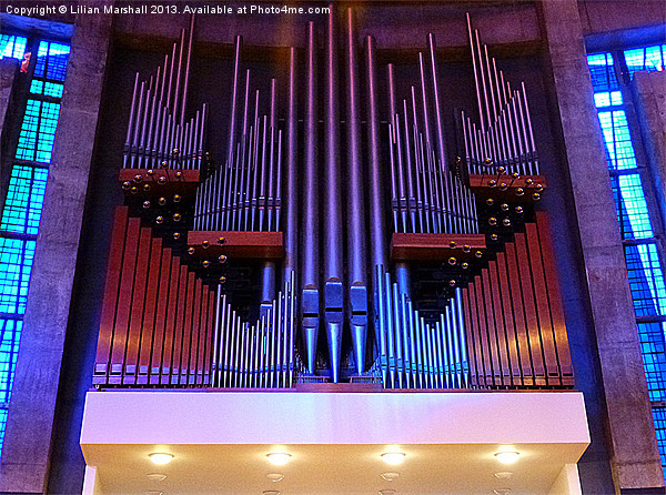 The Organ in the R/C Cathedral, Liverpool Picture Board by Lilian Marshall