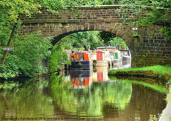 Bridge No 15 on the Rochdale Canal. Picture Board by Lilian Marshall