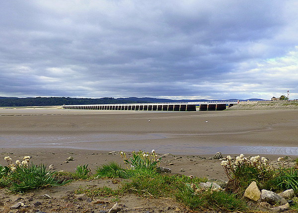Arnside Viaduct. Picture Board by Lilian Marshall