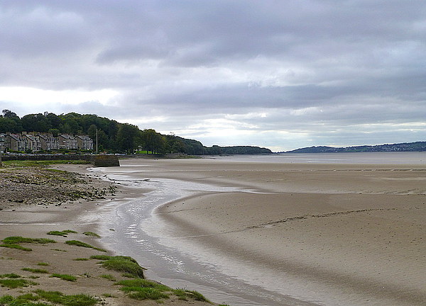 Arnside Beach. Picture Board by Lilian Marshall