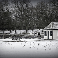 Buy canvas prints of Frozen Boating Lake by Lilian Marshall