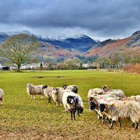 Buy canvas prints of Outside of Coniston Village. by Lilian Marshall