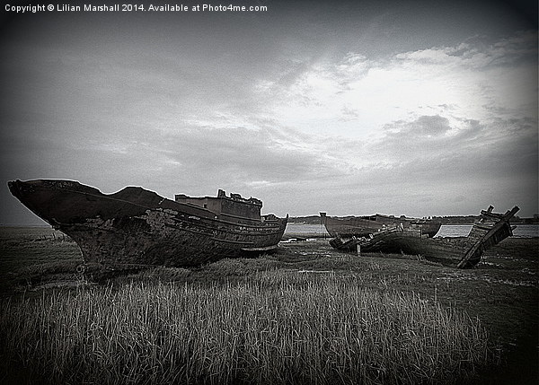 Wrecks on the River Wyre. Picture Board by Lilian Marshall