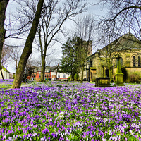 Buy canvas prints of Springtime at St Chads. by Lilian Marshall